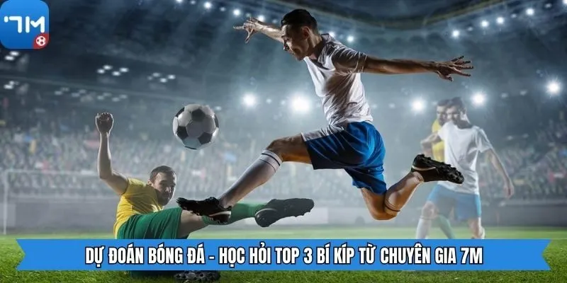 Dự Đoán Bóng Đá - Học Hỏi Top 3 Bí Kíp Từ Chuyên Gia 7m