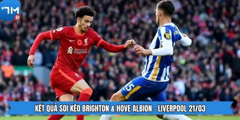 Kết quả soi kèo Brighton & Hove Albion - Liverpool 21/03
