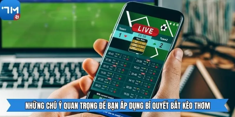 Những chú ý quan trọng để bạn áp dụng bí quyết bắt kèo thơm