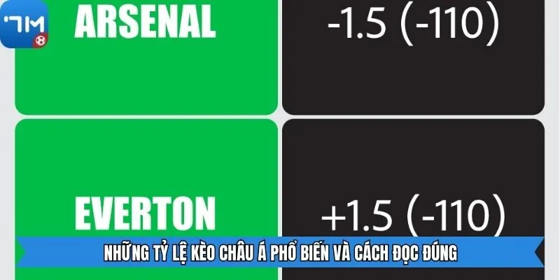 Những tỷ lệ kèo châu Á phổ biến và cách đọc đúng